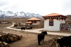 Travel photo from China / Tibet