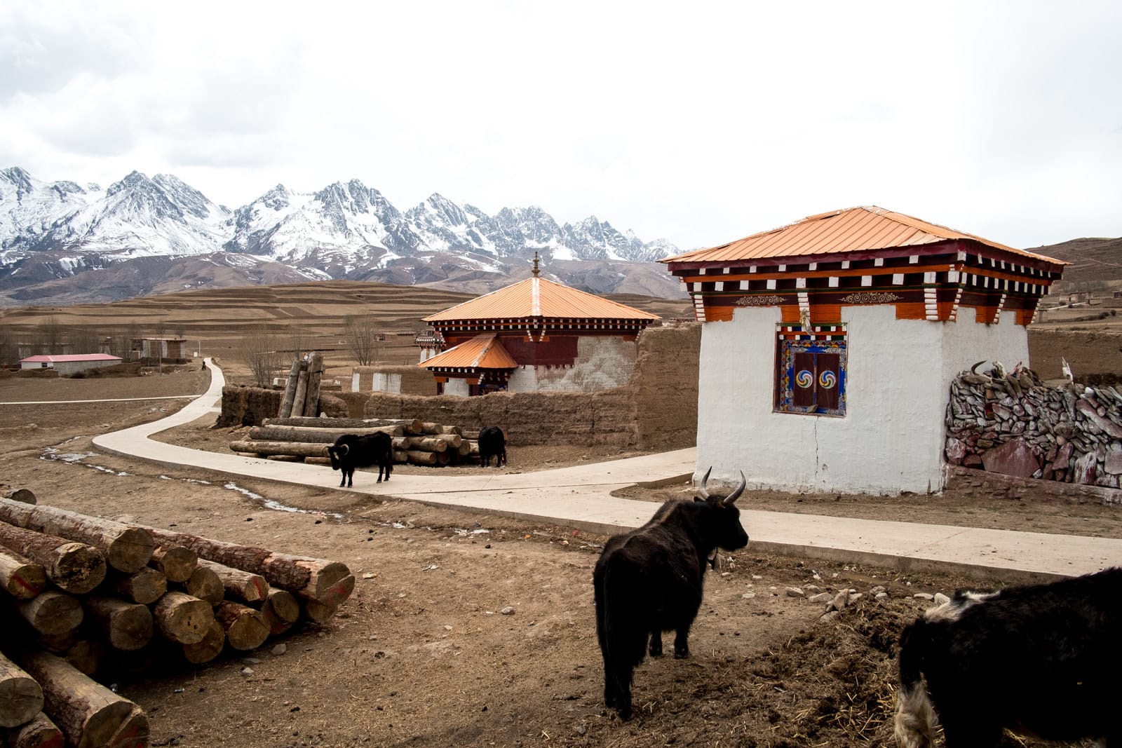 Travel photo from China / Tibet