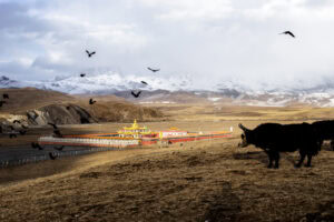 Travel photo from China / Tibet