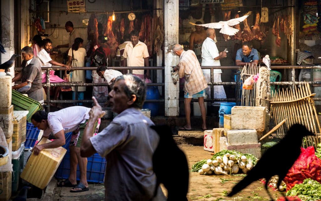 Travel photography – full gallery