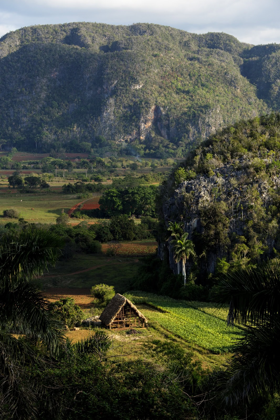 Travel photo from Cuba