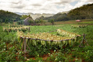 Travel photo from Cuba