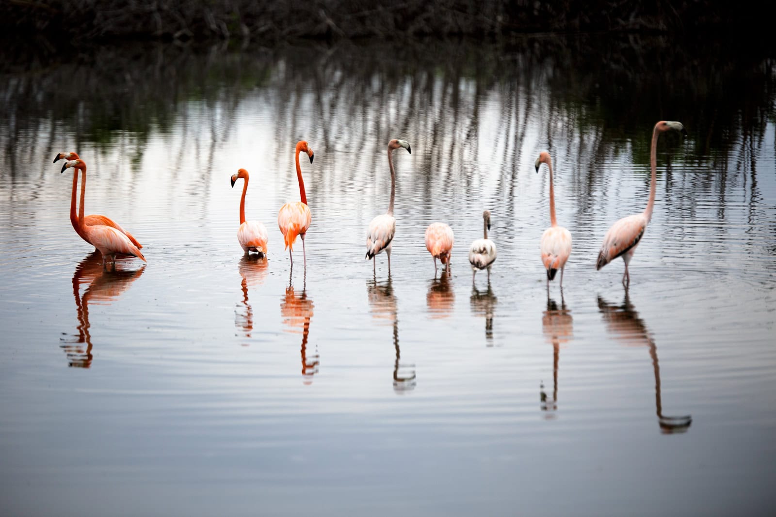 Travel photo from Cuba
