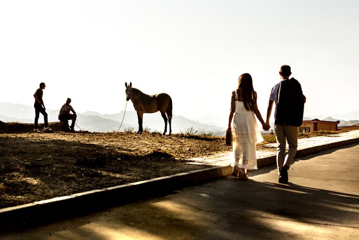 Find answers to frequently asked questions